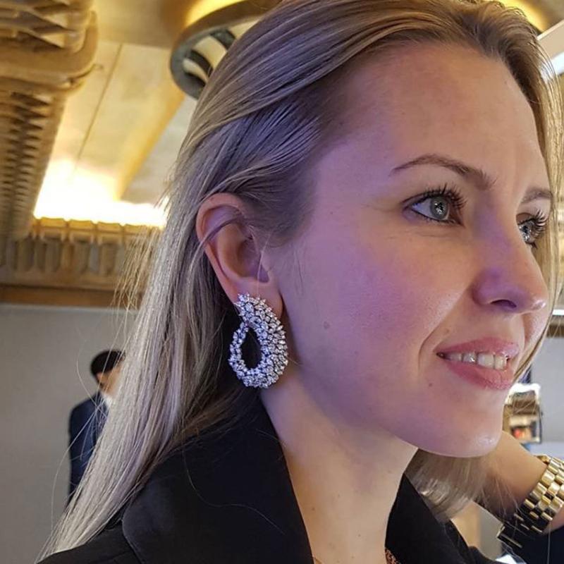 European Heavy Industry Star Fashion High-end and Elegant Leaf-shaped Earrings Set with Zirconia Stones - Versatile and Stylish Ear Accessories